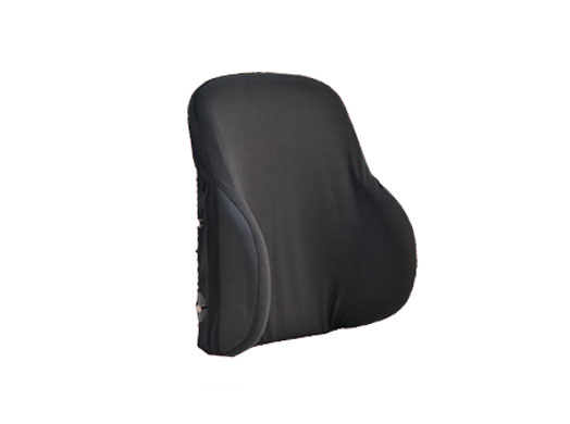 Prism-Basic-Back